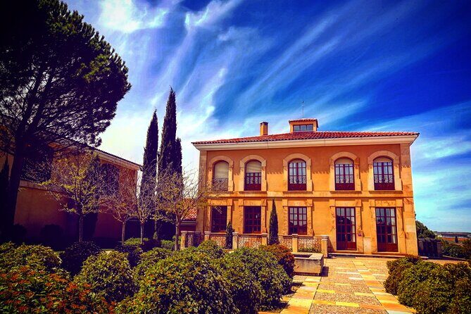 Ribera del Duero Tour: 4 Wineries Visit, Wine Tasting & Lunch - The Pros and Cons: Is This Tour Right for You?