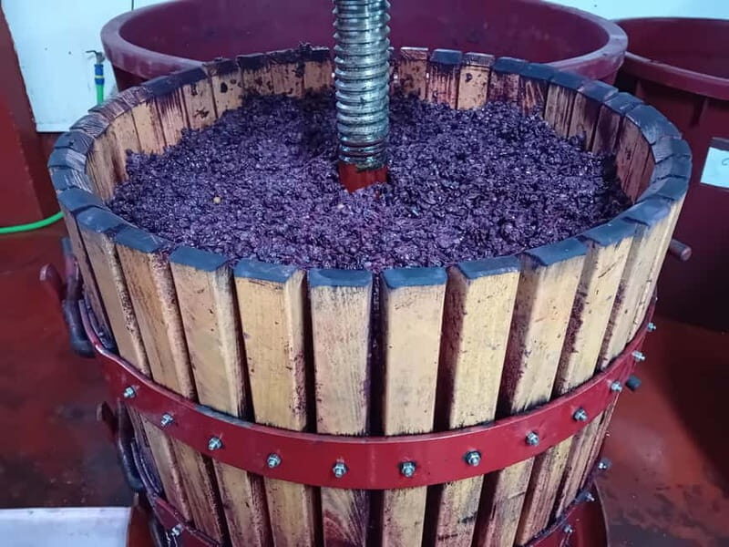 Ribera del Duero Tour From Madrid: 2 Wineries with Transport - Price and Value