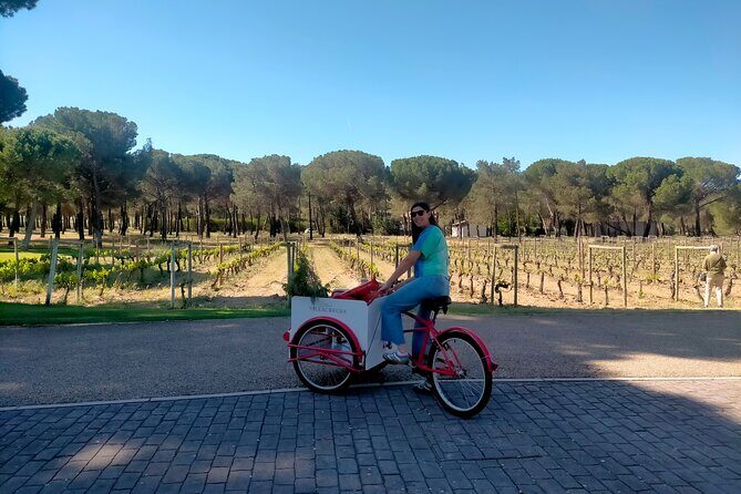 Ribera del Duero Tour: Three Wineries & Lunch from Madrid - Starting from Madrid: What to Expect Before the Tour