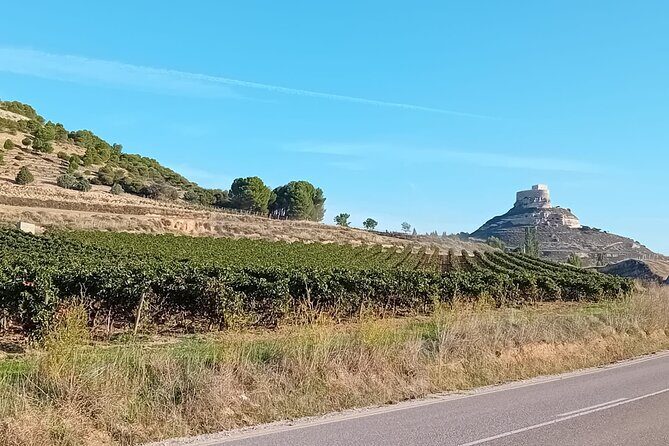 Ribera del Duero Tour: Three Wineries & Lunch from Madrid - FAQ
