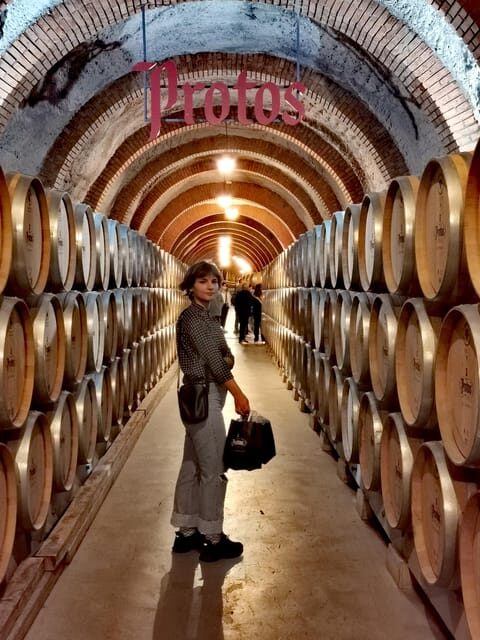 Ribera del Duero wine region private tour - How the Day Unfolds