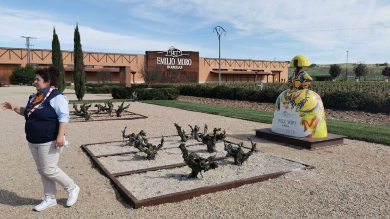 Ribera del Duero wine region private tour - Exploring a Historic Family Winery