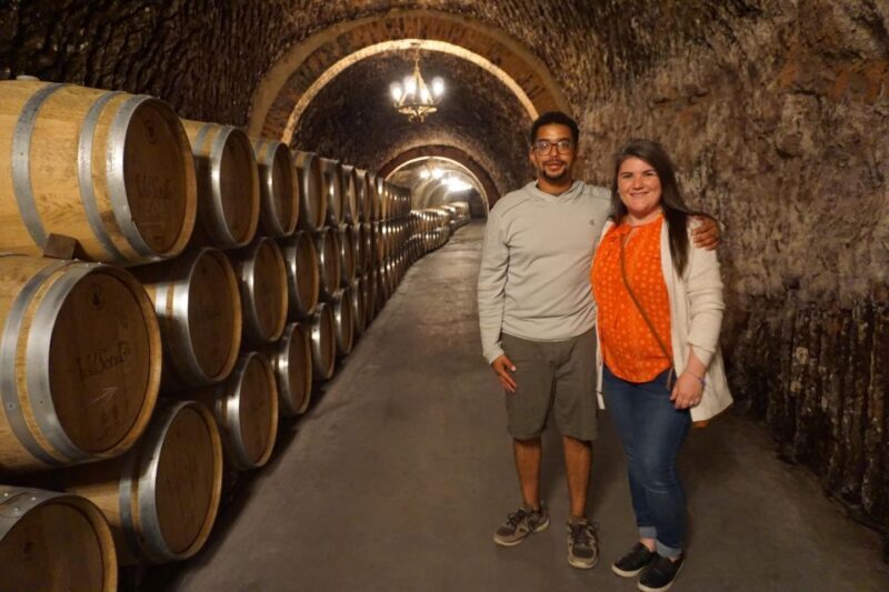 Ribera del Duero wine region private tour - A Tasty Lunch Amidst Old Vines
