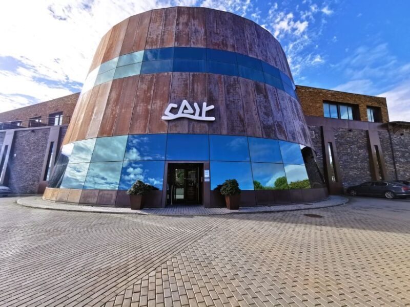 Ribera del Duero wine region private tour - Who Should Consider This Tour?