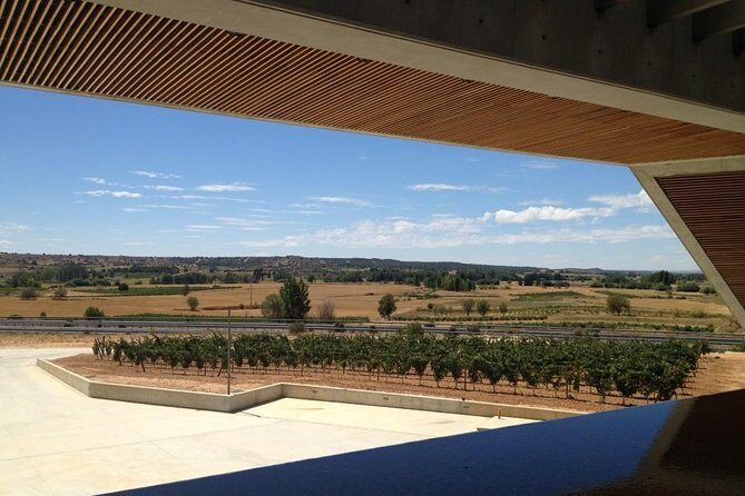 Ribera del Duero Wineries Guided Tour & Wine Tasting from Madrid - Final Thoughts
