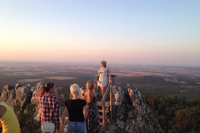 Ribera del Duero Winery Guided Tour and Wine Tasting from Madrid - Key Points