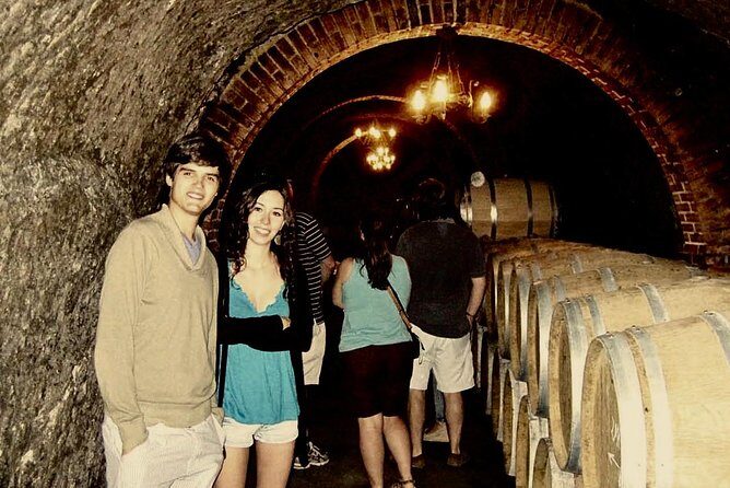 Ribera del Duero Winery Guided Tour and Wine Tasting from Madrid - The Wineries and the Tastings