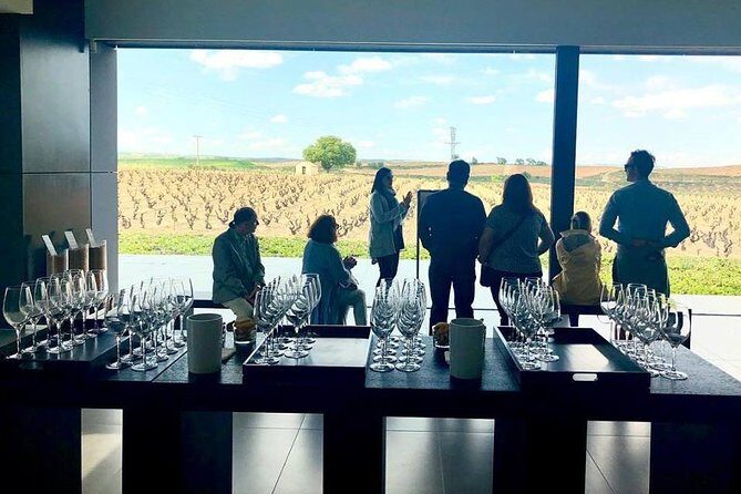 Ribera del Duero Winery Guided Tour and Wine Tasting from Madrid - Final Thoughts: Is This Tour Right for You?