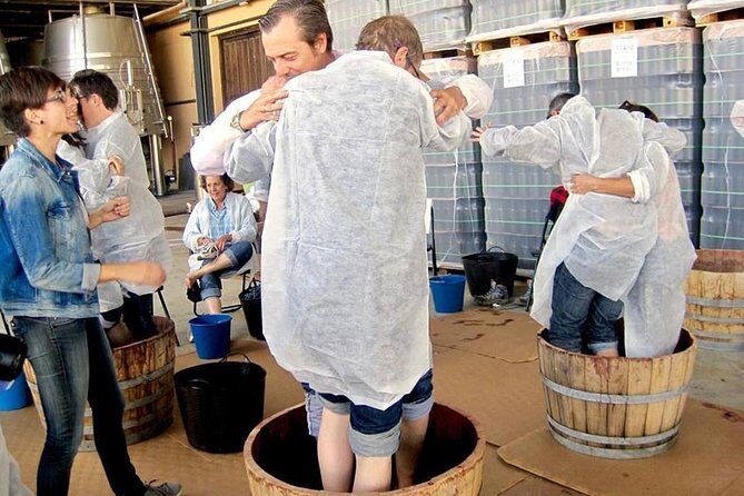 Ribera del Duero Winery Guided Tour and Wine Tasting from Madrid - FAQ