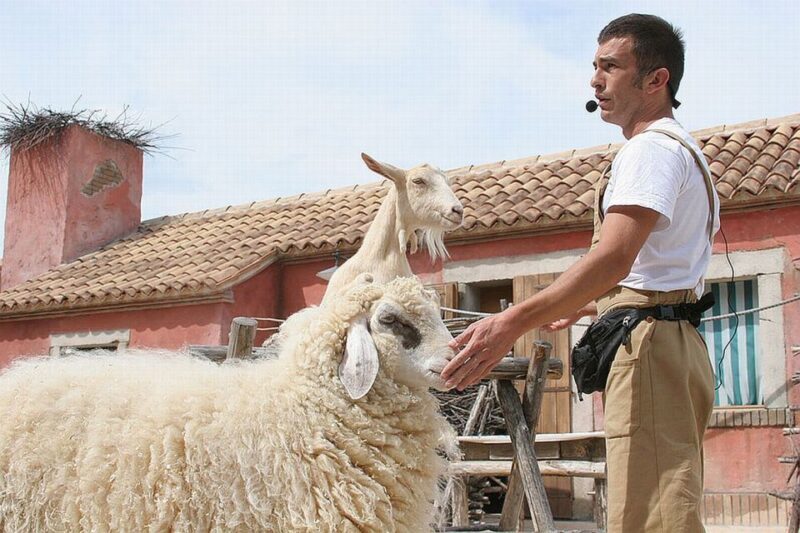 Riccione: Oltremare Park Entrance Ticket - Key Points from Visiting Oltremare Riccione