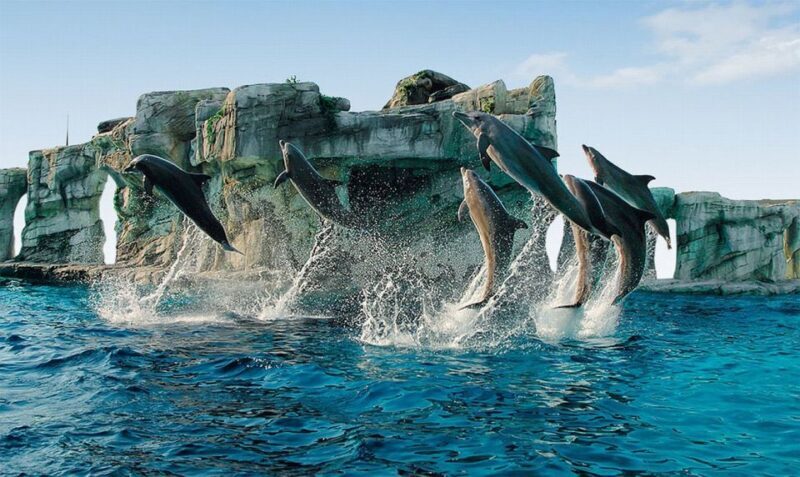 Riccione: Oltremare Park Entrance Ticket - Who Should Consider Visiting Oltremare Riccione?