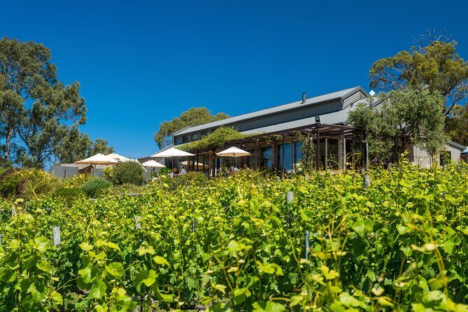 Richmond and Wine Tour - Cozy Vistas: Coal Valley Vineyard