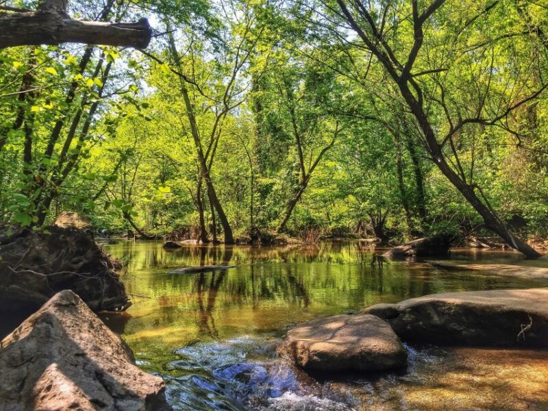 Richmond: Guided Hike in James River Park - Who is This Tour Best For?
