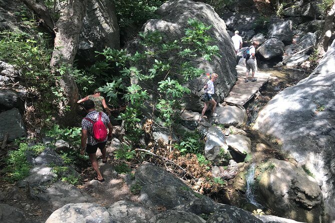 Richtis Waterfall, History, Azoria, OliveTasting, NorthCoast - What to Expect on the Tour