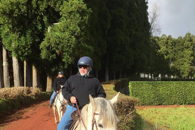 ride a volcano - go to the gardens in the woods - Key Points