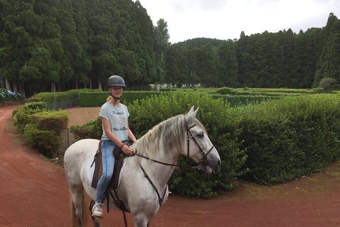 ride a volcano - go to the gardens in the woods - An In-Depth Look at This Horseback Riding Tour