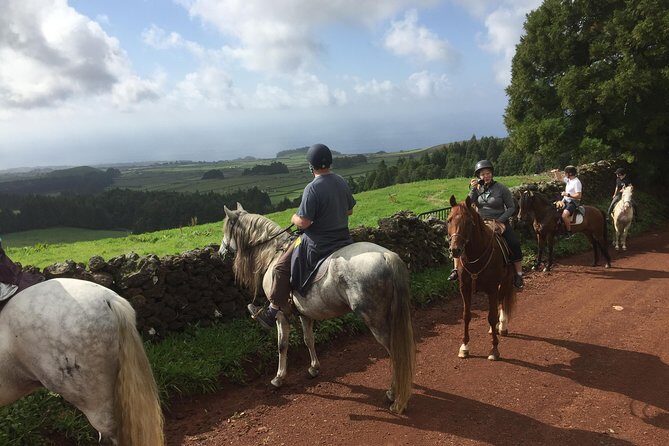 ride a volcano - go to the gardens in the woods - FAQs