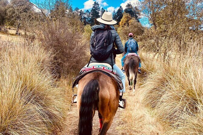 Ride Ajusco mountain trails & enjoy a ranch barbecue - The ranch barbecue and local flavors