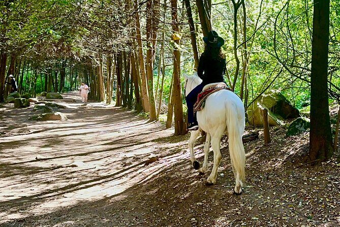 Ride Horses, Learn to Cook with Locals in Mexico City - The Experience in Practice: Pros and Cons