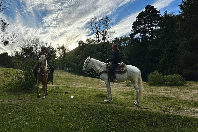 Ride Horses, Learn to Cook with Locals in Mexico City - Final Thoughts