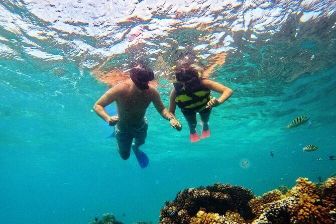 Ride & Slide by South Sea Cats - Half Day Snorkelling Trip - Final thoughts