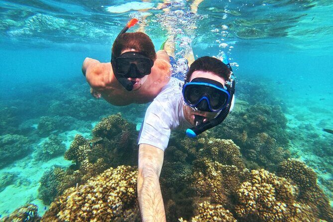 Ride & Slide by South Sea Cats - Half Day Snorkelling Trip - FAQs