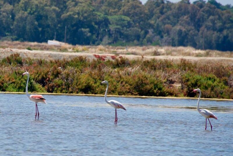 Ride the Day Away: Easy & Affordable E Motor Bike Rentals - What Is This Experience Really Like?