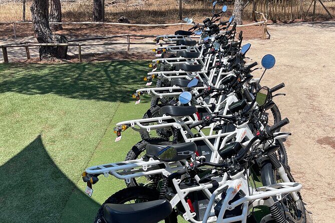 Ride the Day Away: Easy & Affordable Electric Motor Bike Rentals - The Value Proposition
