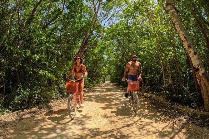 Ride to a life changing cenotes tour - An In-Depth Look at the Cenotes Tour