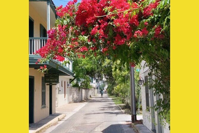 Riding Through History of St.Augustine: Premium Tour with PiCk Up - Transport and Comfort