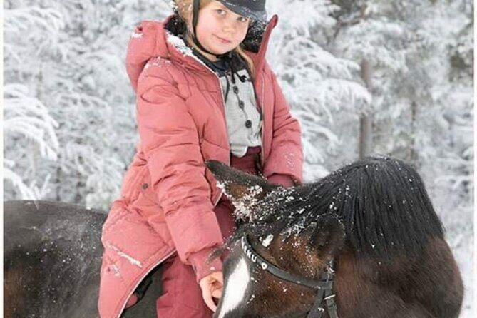 Riding Tour with Finnhorses at Santa Claus Village - What to Expect from the Finnhorse Riding Experience