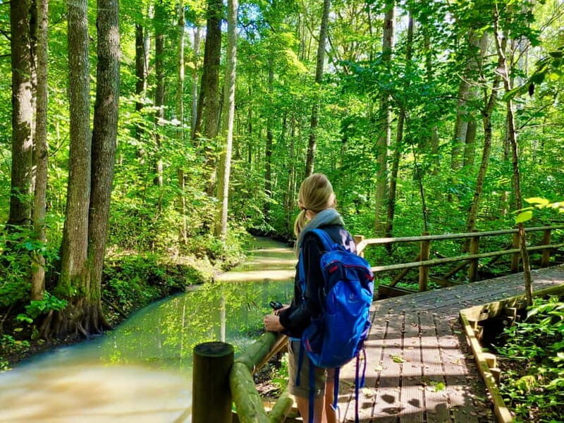 Riga: Best of Kemeri National Park In One Day - Exploring the Kemeri National Park Experience