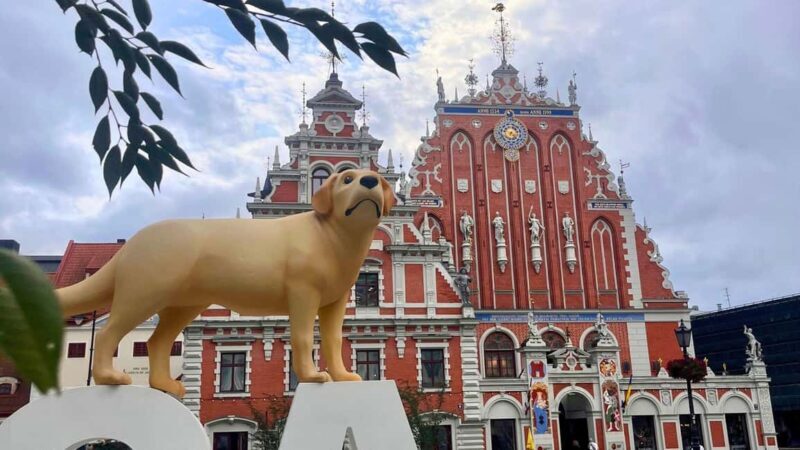 Riga: Canal Boat Tour with Drink & Old Town Audio Tour - Final Thoughts