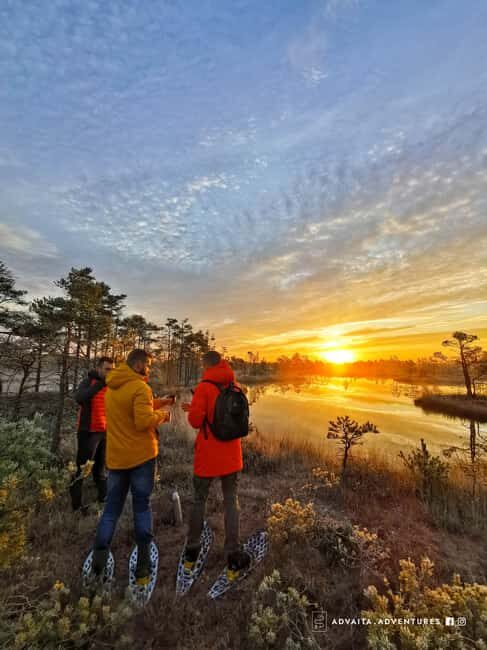 Riga: Epic Bog-Shoe Walk in Latvias Wild Nature - What the Tour Is All About