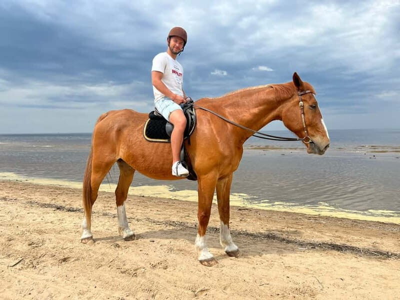 Riga Horse Riding tour along the Beach - What to Expect from the Riga Horse Riding Tour