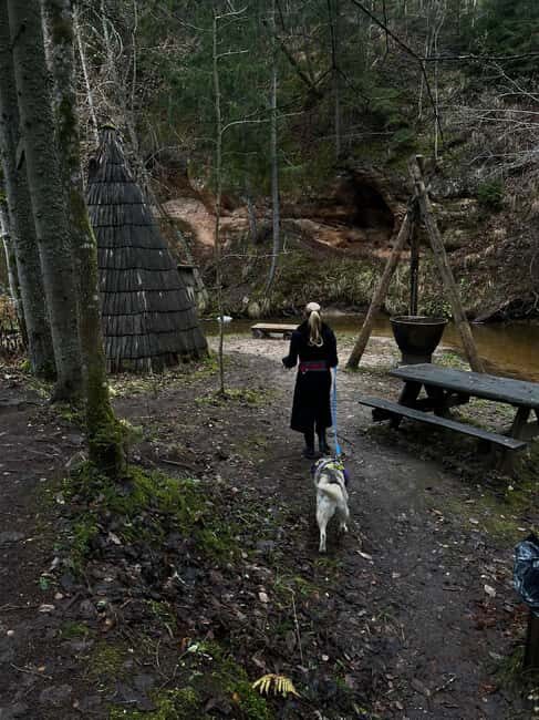 Riga: Husky Hike in the Nature Trail - A Few Downsides