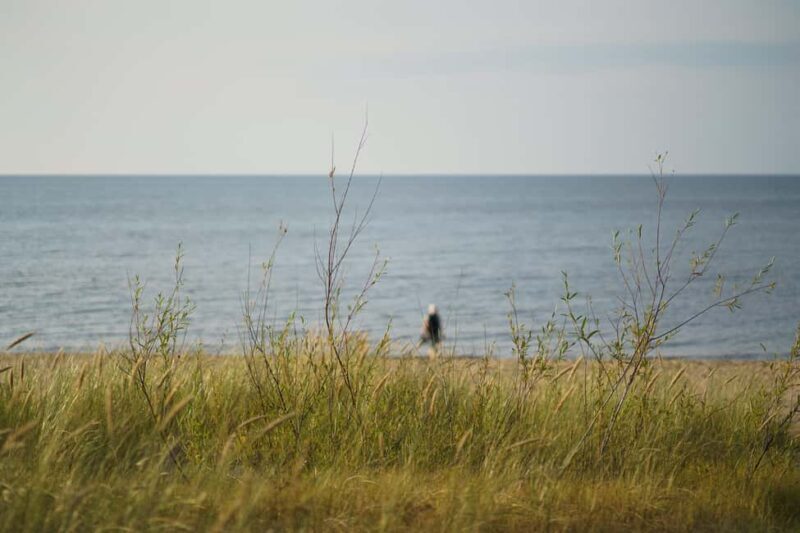 Riga: Seaside Nature Park Walk with a Local Photographer - An Unusual Blend of Nature and Vintage Photography