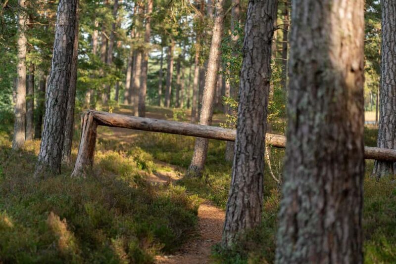 Riga: Seaside Nature Park Walk with a Local Photographer - Practicalities and Comfort
