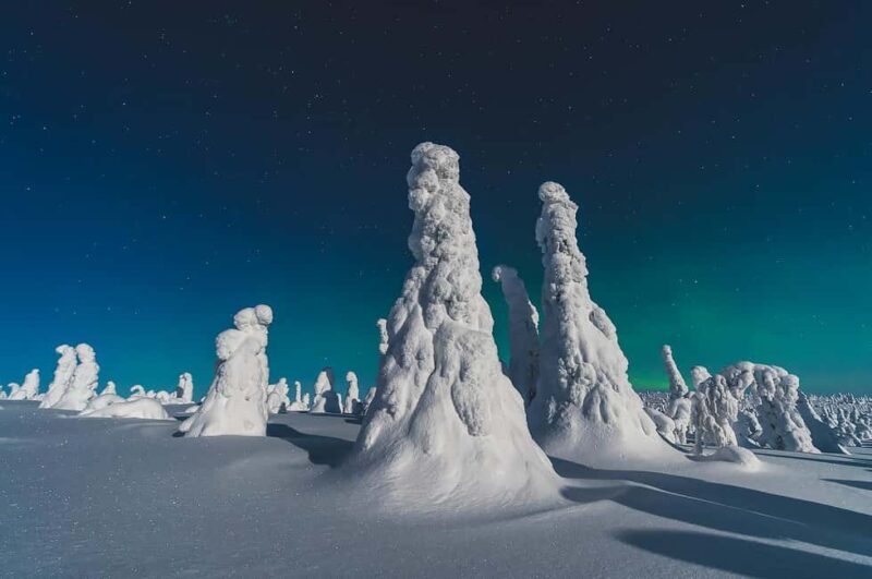 Riisitunturi National Park: Day Trip with Finnish Lapphund - Key Points