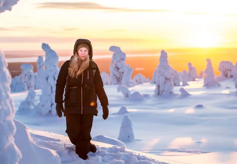 Riisitunturi National Park: Day Trip with Finnish Lapphund - Exploring Riisitunturi National Park