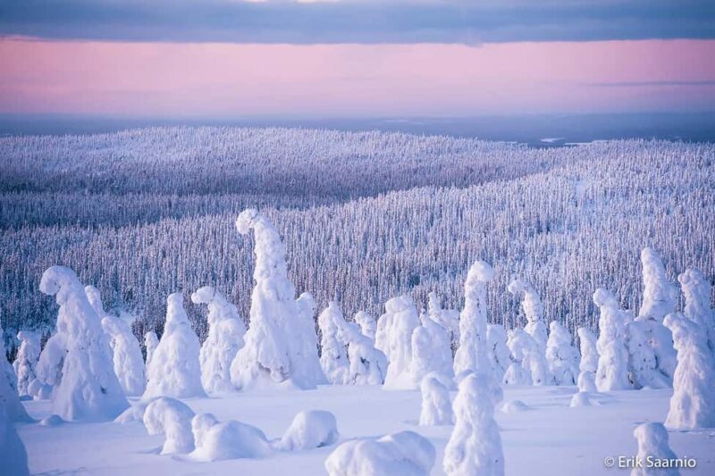 Riisitunturi National Park: Day Trip with Finnish Lapphund - Logistics & Practicalities