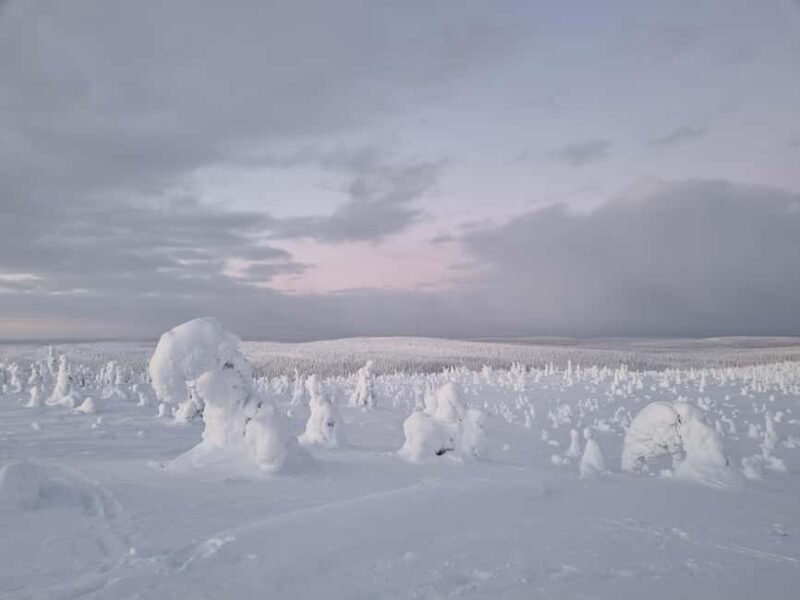 Riisitunturi National Park Guided Hike - Key Points