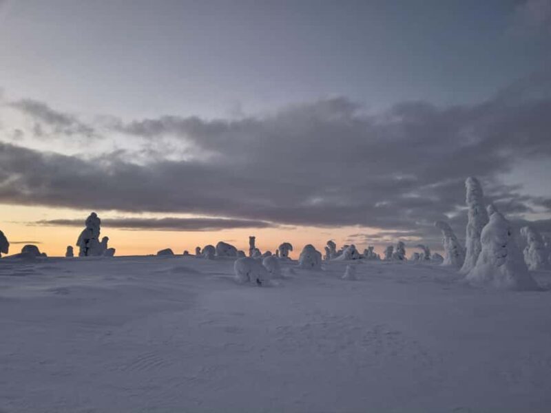 Riisitunturi National Park Guided Hike - Exploring the Riisitunturi Guided Hike