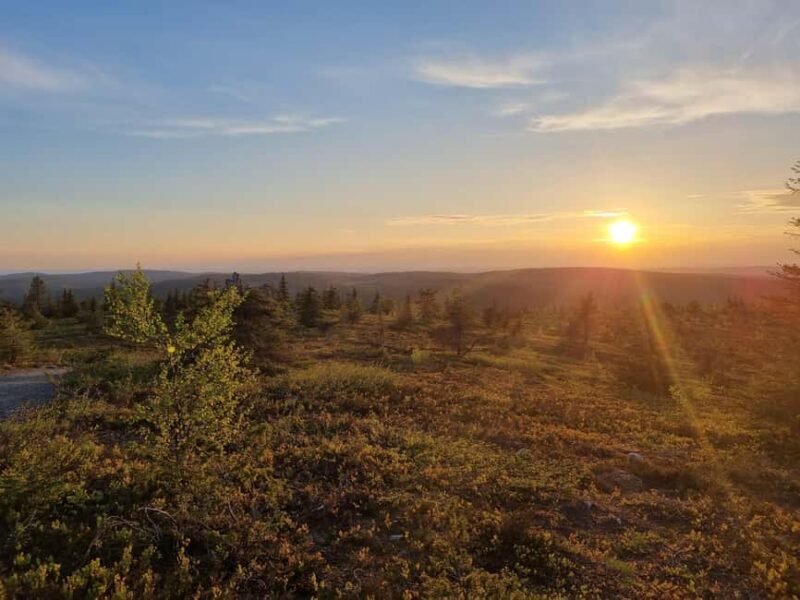 Riisitunturi National Park Guided Hike - Who Should Consider This Tour?