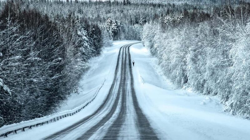 Riisitunturi National Park Hike - What to Expect from the Riisitunturi National Park Hike