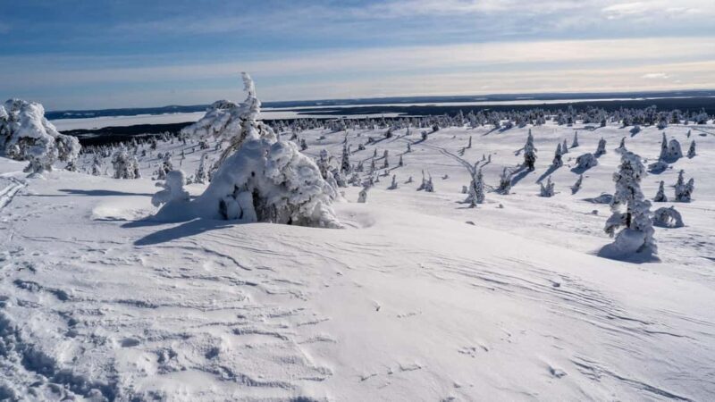 Riisitunturi National Park Hike - The Practicalities: Transportation, Group Size, and Cost