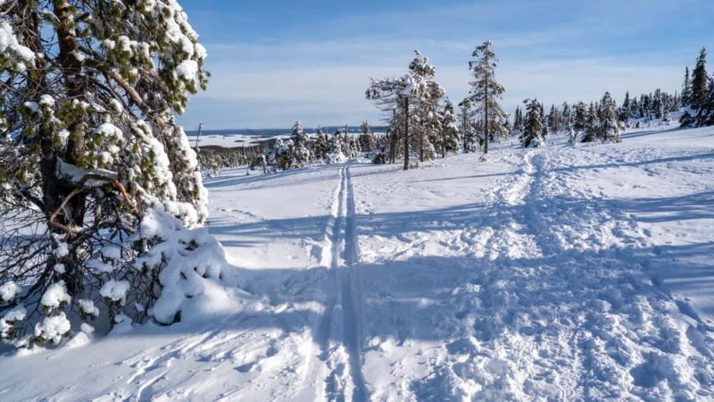 Riisitunturi National Park Hike - FAQ