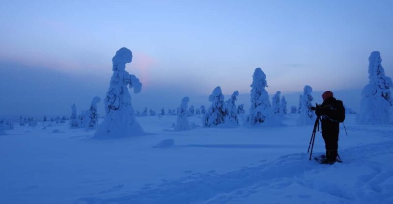 Riisitunturi National Park Private Snowshoe Adventure - Key Points