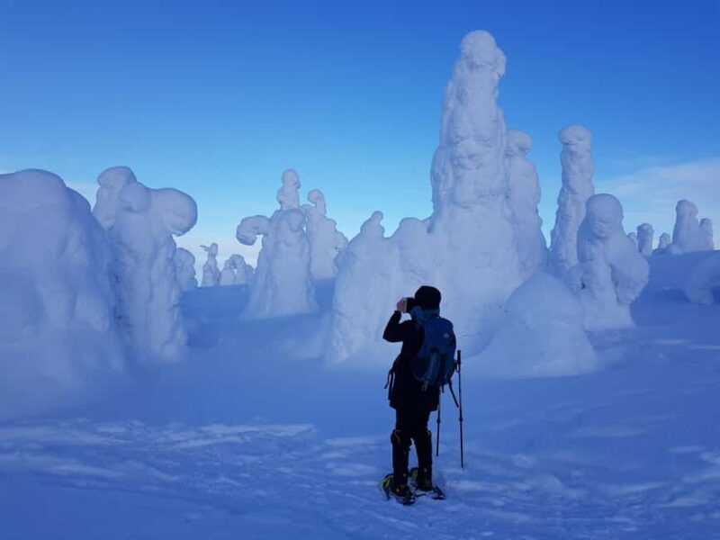 Riisitunturi National Park Private Snowshoe Adventure - The Magic of the Views and Stories