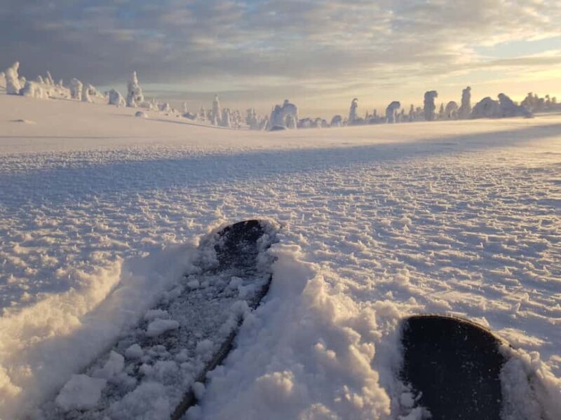 Riisitunturi National Park Private Snowshoe Adventure - Practical Details: What You Need to Know